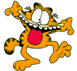 garfield 49