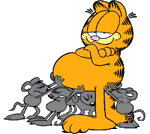 garfield 61