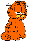 garfield 63