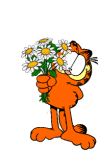 garfield 69