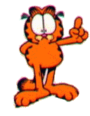 garfield 77