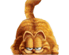 garfield 79