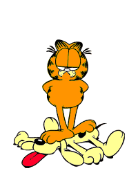 garfield 8