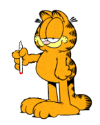 garfield 80