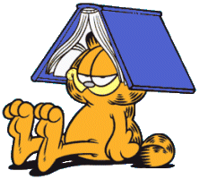 garfield 85