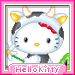 hello kitty 204