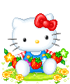 hello kitty 232