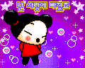 pucca 63