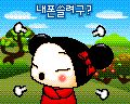 pucca 86