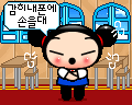 pucca 88