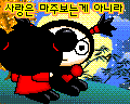 pucca 99