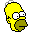 simpsons homer 1