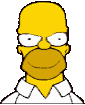 simpsons homer 19