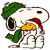 snoopy 31
