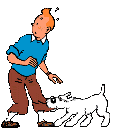 tintin 41