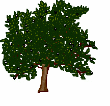 alberi 18