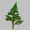 alberi 4
