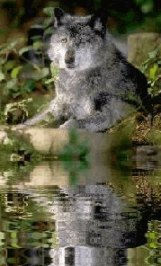 effetti speciali 101