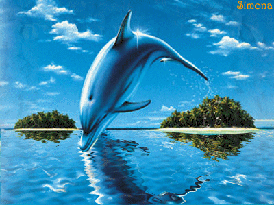 effetti speciali 135