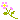 fiori 10