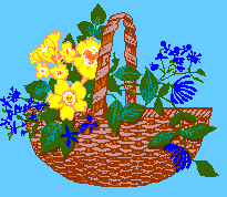 fiori 87