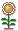 girasoli 1