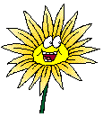 girasoli 10