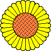 girasoli 8