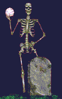 scheletri 11