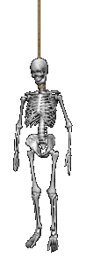 scheletri 12