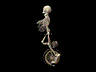 scheletri 25