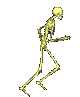 scheletri 48