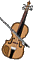 violini 4