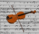 violini 7