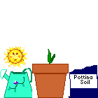 attrezzi giardino 33