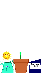 attrezzi giardino 43