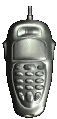 cellulari 31