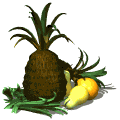 ananas 10
