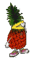 ananas 7