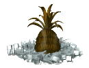 ananas 9