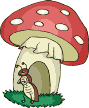 funghi 31