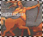 segni zodiacali 337