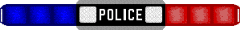 polizia 3