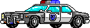 polizia 6