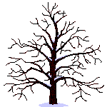 alberi 2
