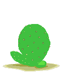 cactus 32