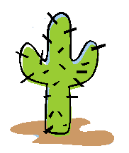cactus 41