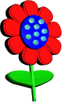 fiori 89