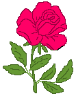 rose 116
