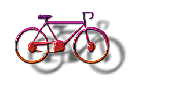 biciclette 2